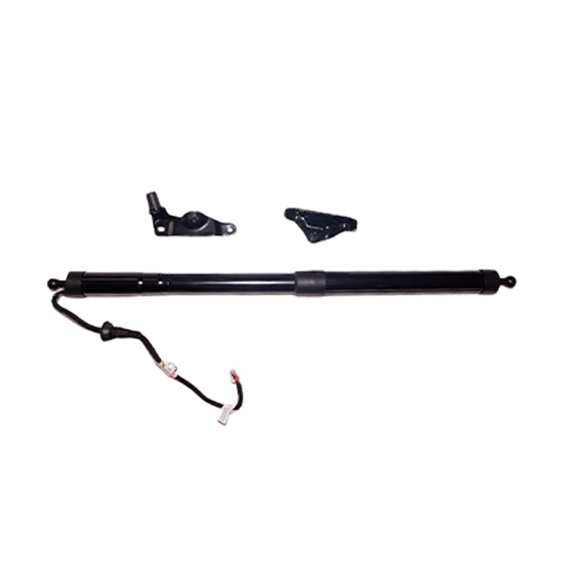 2014 Toyota Highlander bakre luckstruts