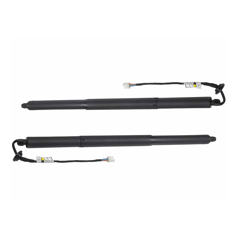 Model X Electric Tailgate Lift Support Struts